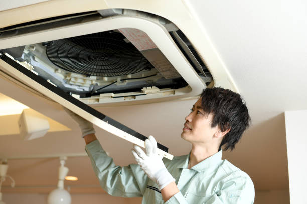 Air Duct Mold Removal in MT